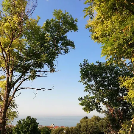 Bed & Breakfast Il Magnolia *