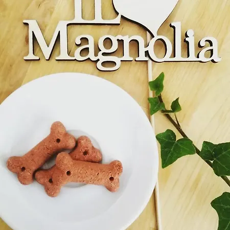 Il Magnolia * Francavilla Al Mare