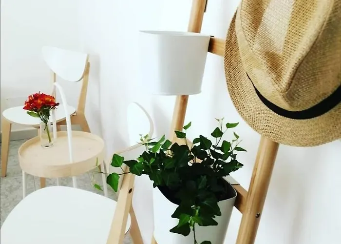 Bed & Breakfast Il Magnolia Francavilla Al Mare